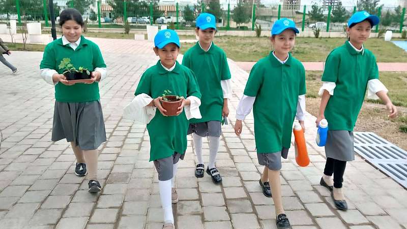 Акция по посадке рассады растения люфы
